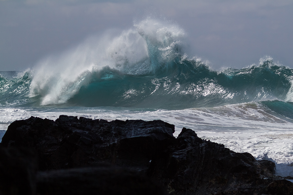 Kauai - 24.jpg